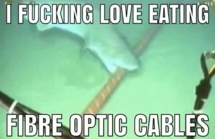 Brandon ッ tweet media