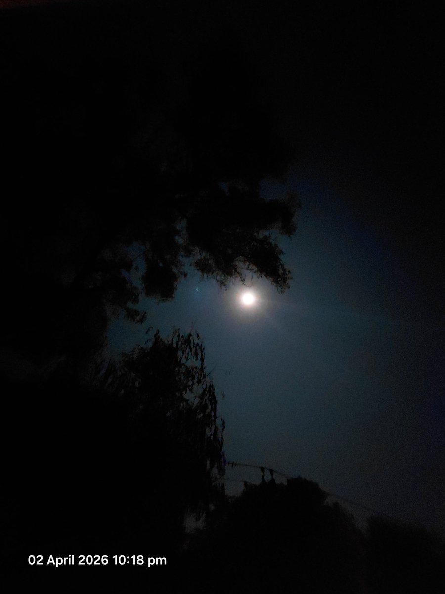 🎶 இசை குயில் 🎶 tweet media