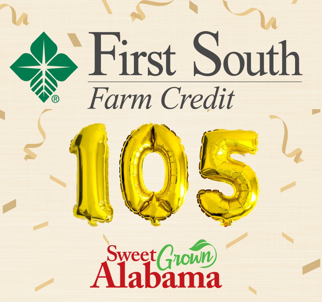 Sweet Grown Alabama tweet media