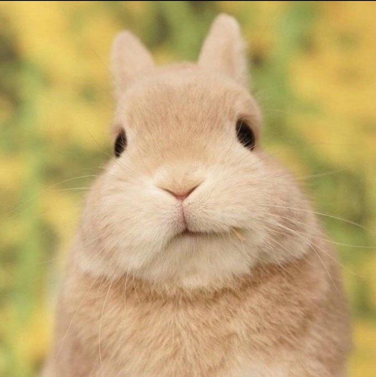 Squiddles💦 tweet media