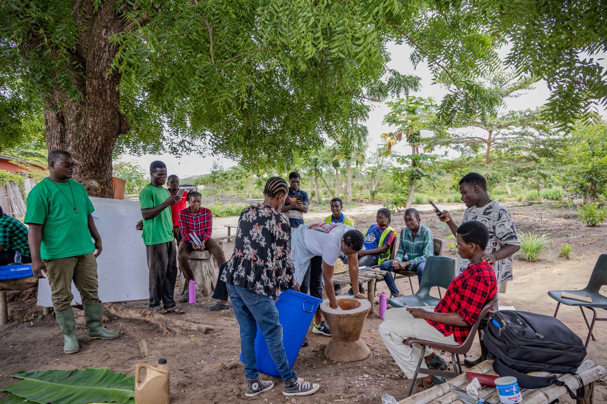 PnudTogo's tweet photo. En atelier pratique, les participants ont appris la fabrication de l'apichie, bokashi des biofertilisants et bioprotecteurs; charbon vert, thé de compost et le compost à base des restes de nourritures.
#ZéroDechet #AgriDurable
#EntrepreneuriatVert #ESG #RSE #Togo #PNUD https://t.co/k5ShKcJAEe