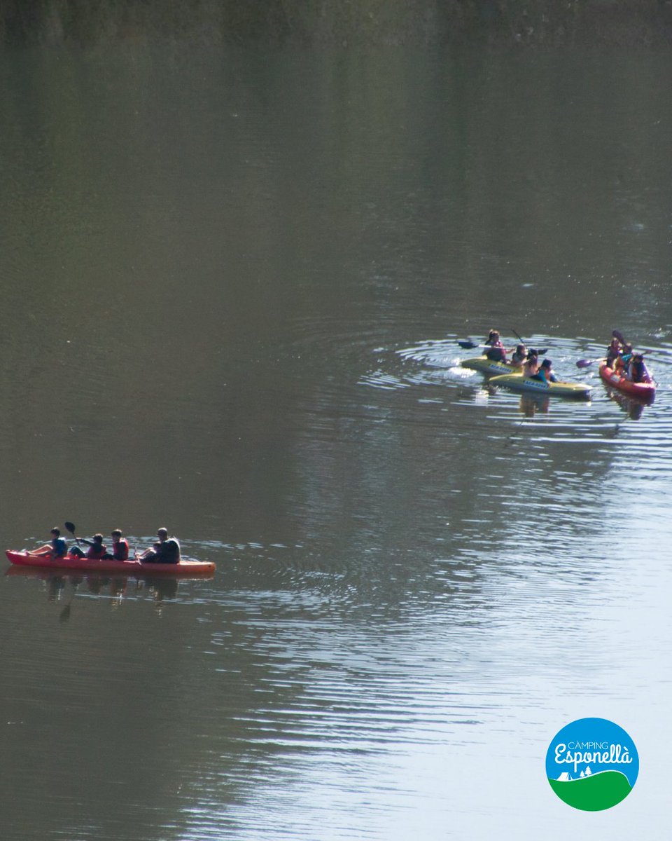 Camping Esponellà tweet media