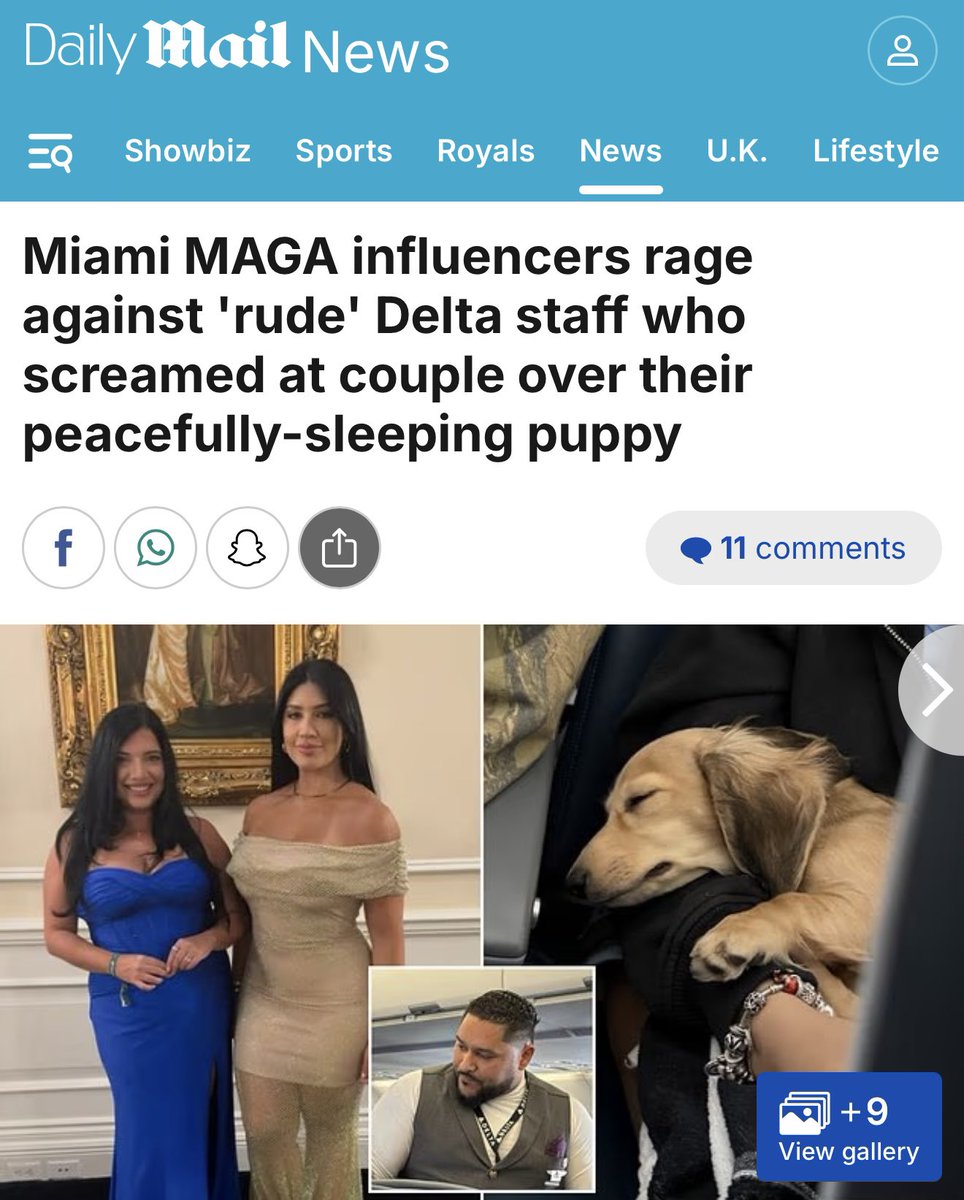 Mostly Peaceful Latinas tweet media