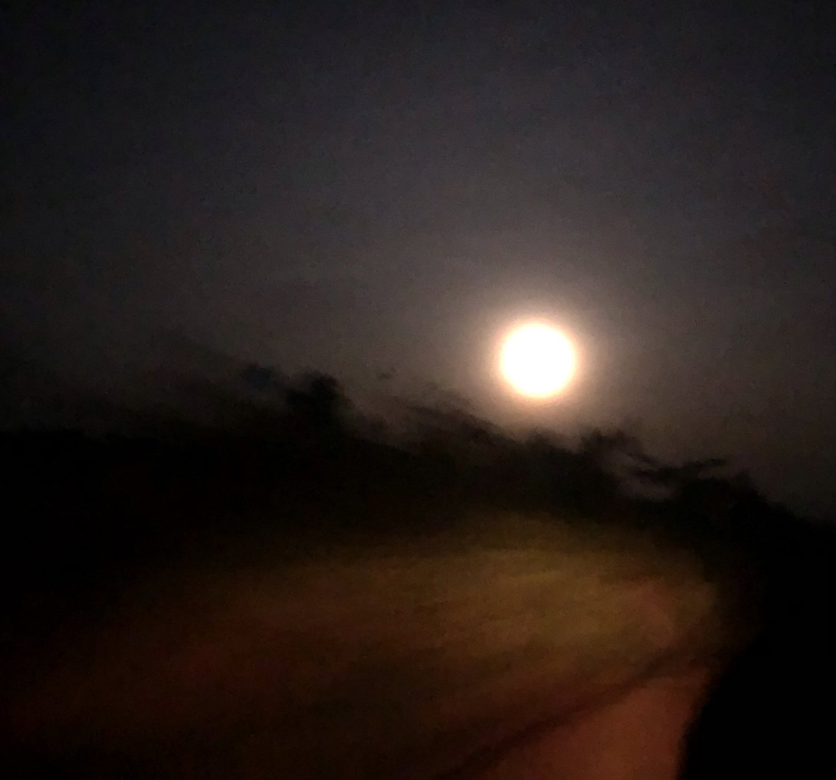 Effichards tweet media