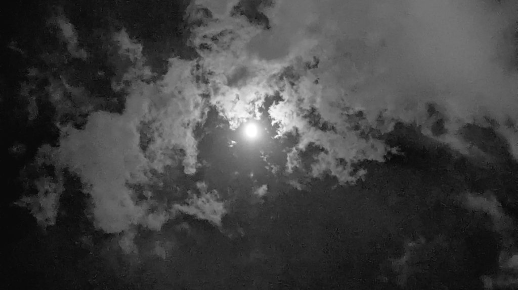 Manas R Dash tweet media