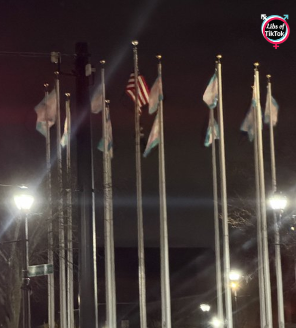 Libs of TikTok tweet media