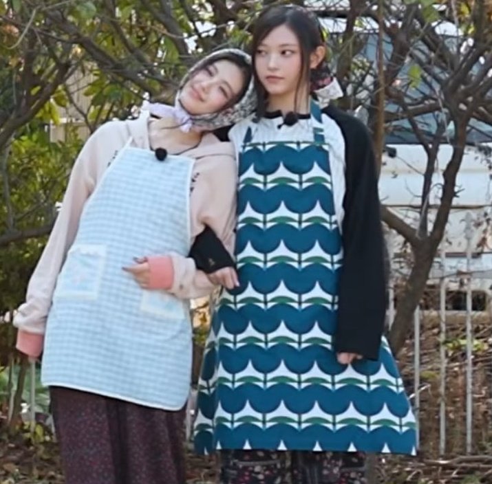 isa🐻⁵ tweet media