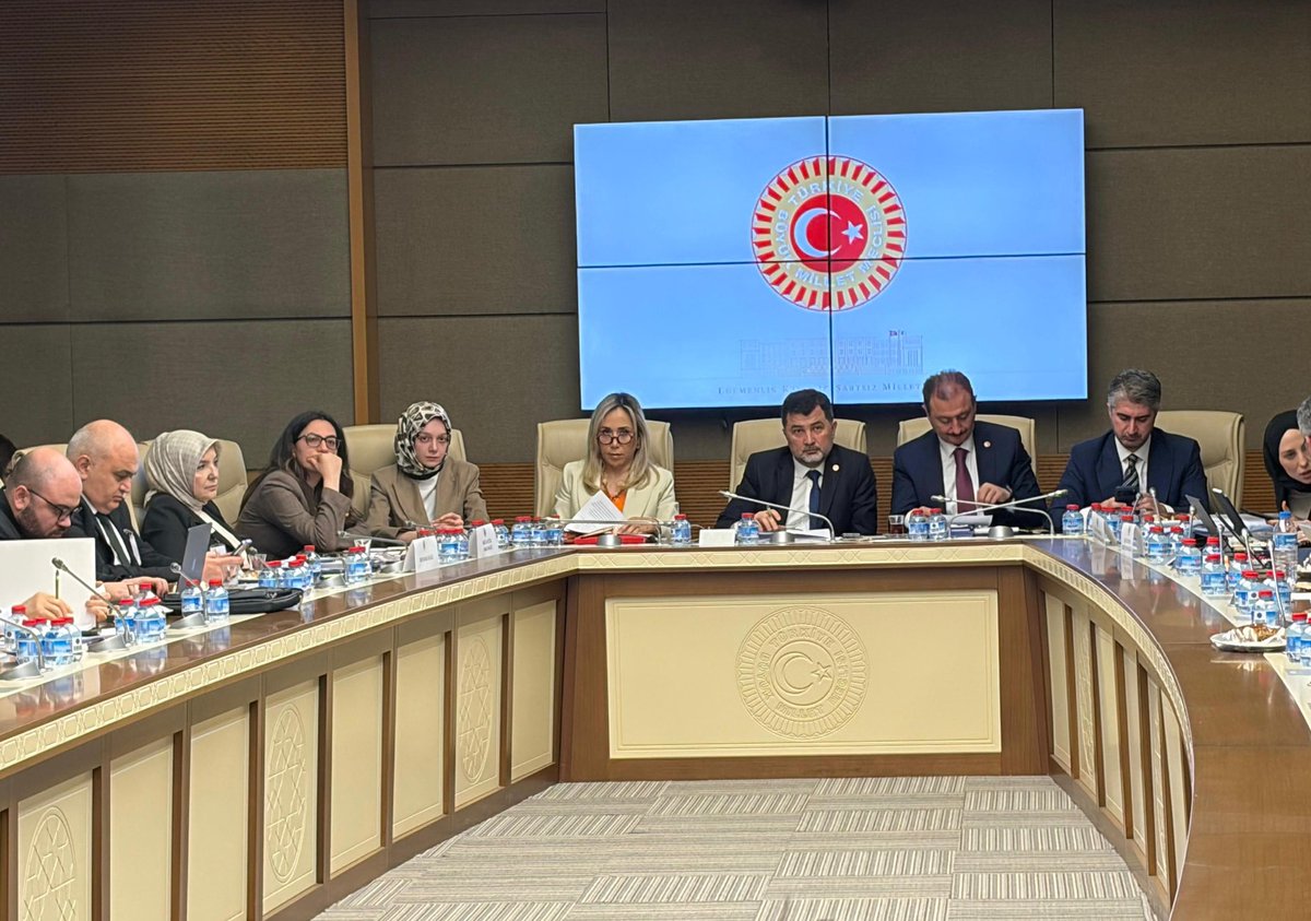 Zehranur Aydemir tweet media