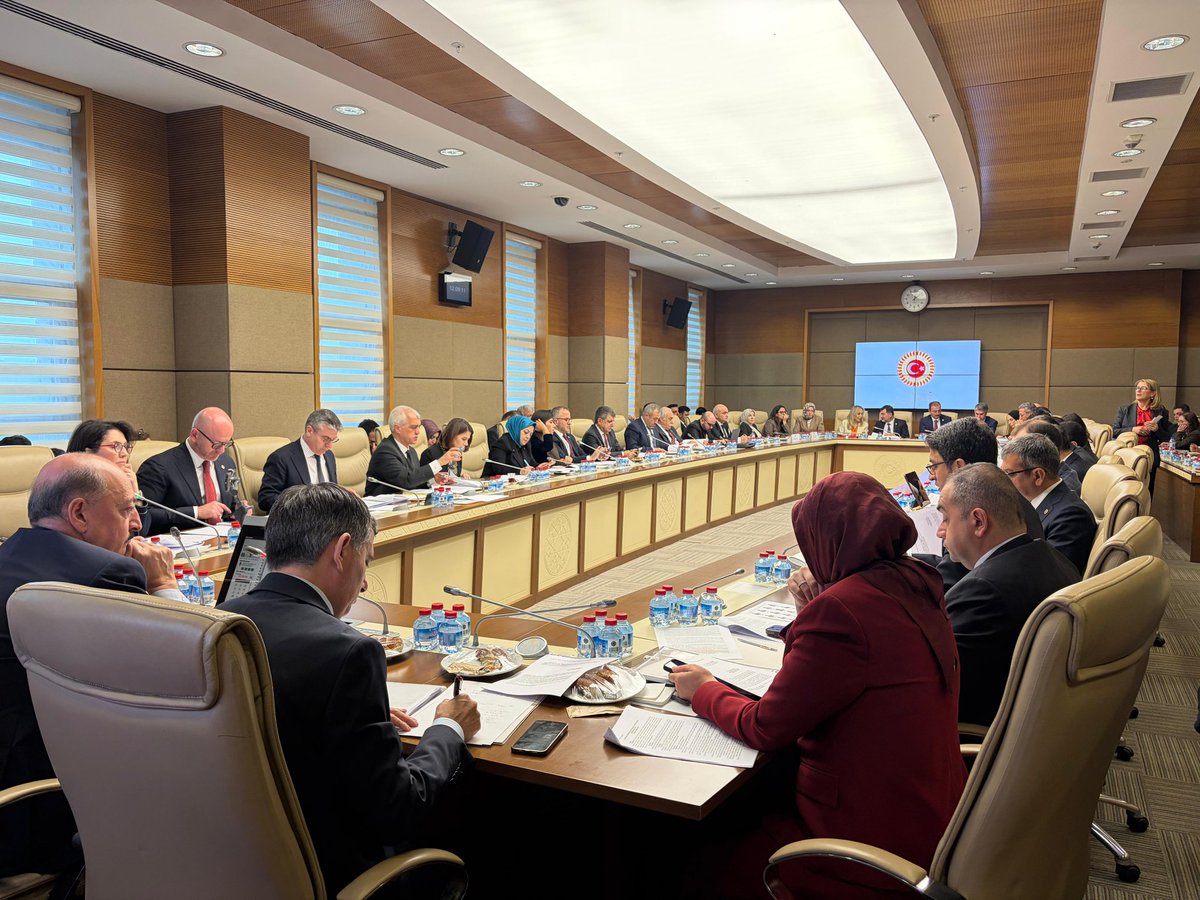 Zehranur Aydemir tweet media