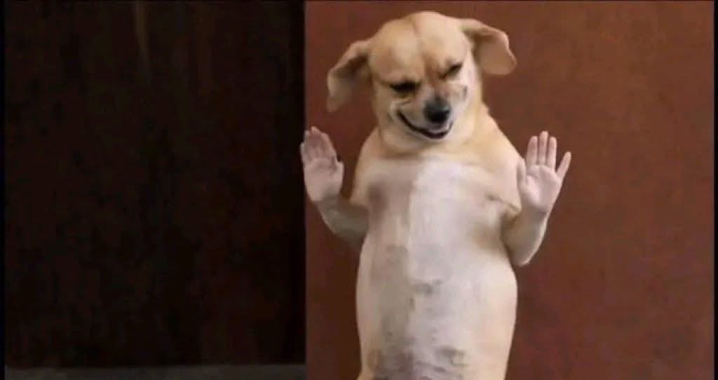 KV_Midzyyyyyyyy tweet media