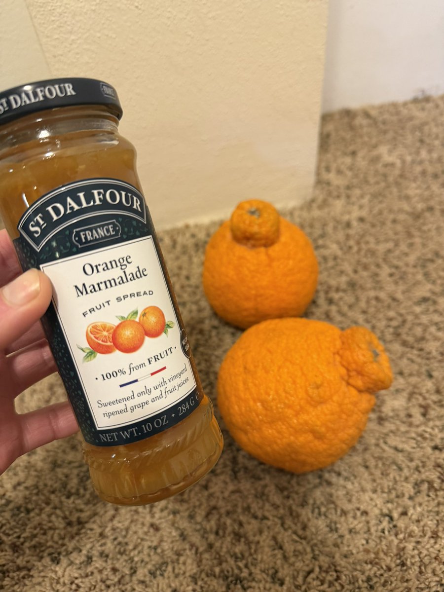 Sam Savson tweet media