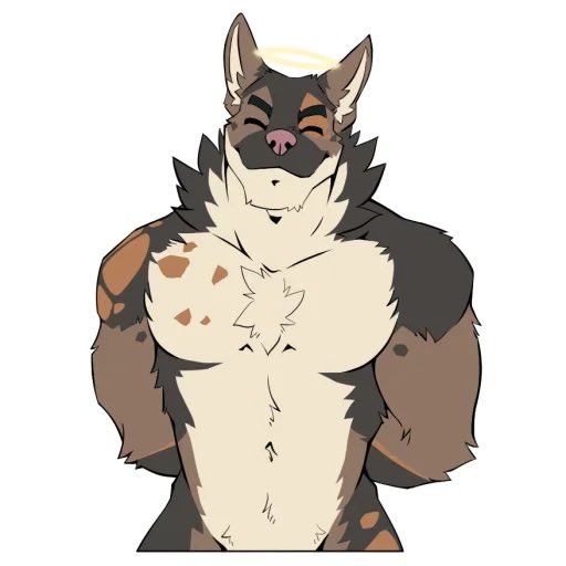 Frisco! 🔜 TFF FWA tweet media