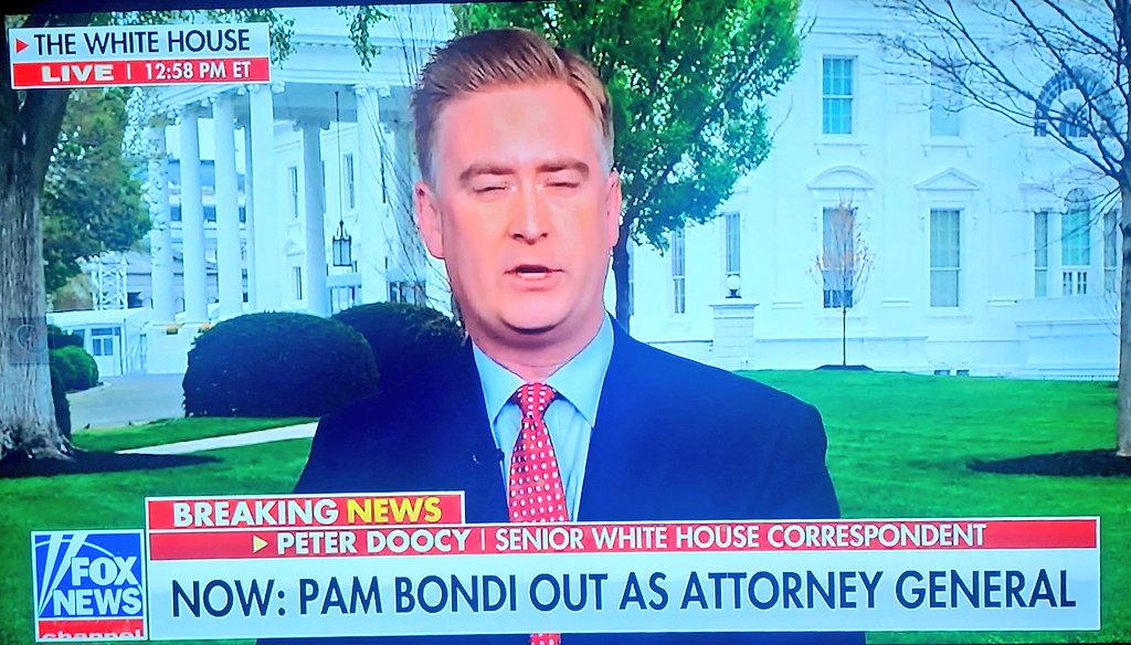 Stock Mom™ tweet media