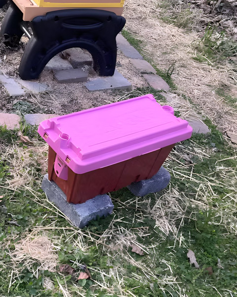 FoxhoundBeeCo's tweet image. Unexpected swarms? Our Pro-Nuc 5 Frame Plastic Nucleus Hive are "great for securing swarms and holding bees until you get your boxes ready," said Thomas Hall.
 
They are tough, lightweight, and ready-to-use in the field: bit.ly/3EWiIpV
 
#foxhoundbeeco #beekeeping #bees
