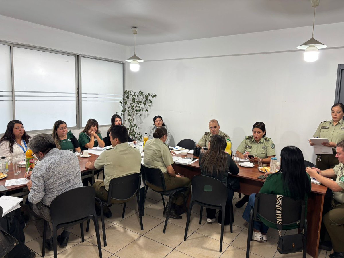 Carabineros Prefectura Rinconada tweet media