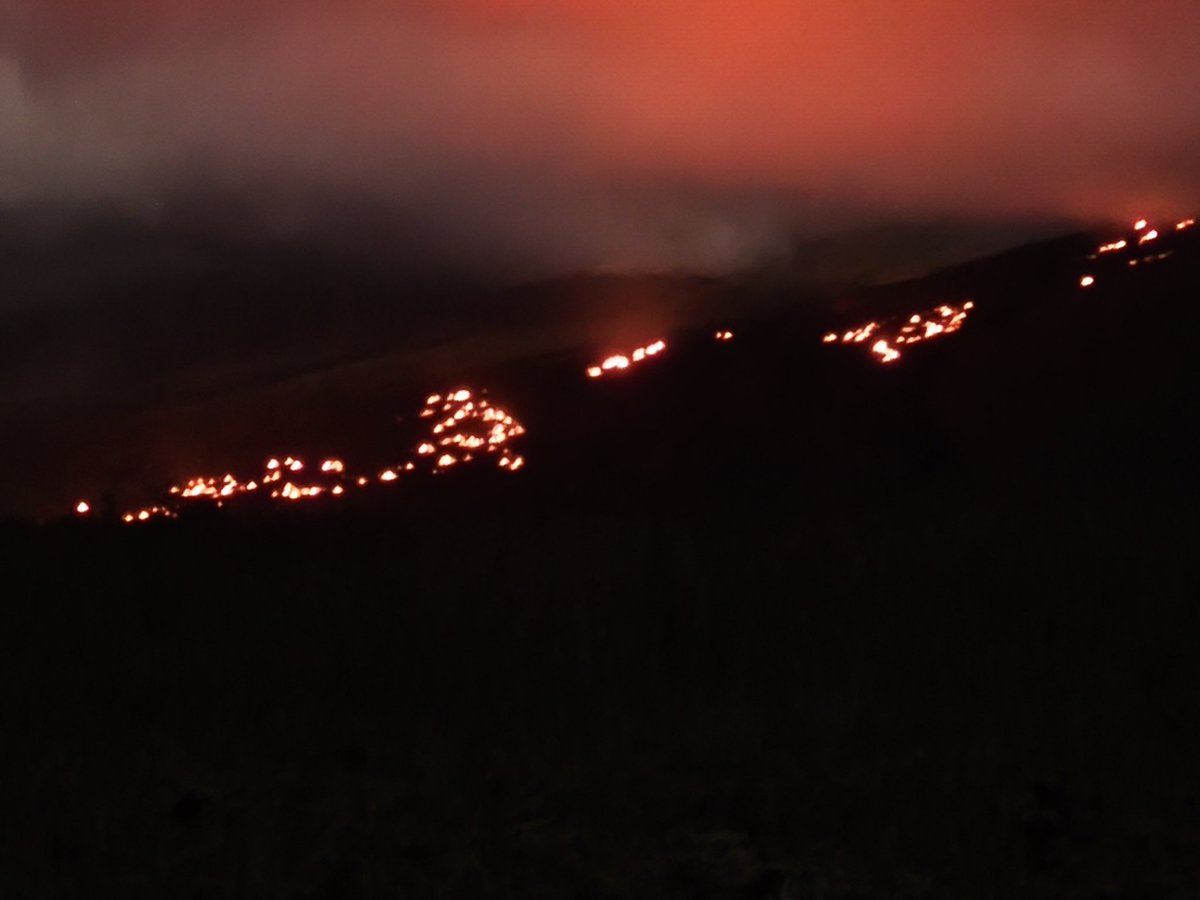 Lady Moon 💫 tweet media