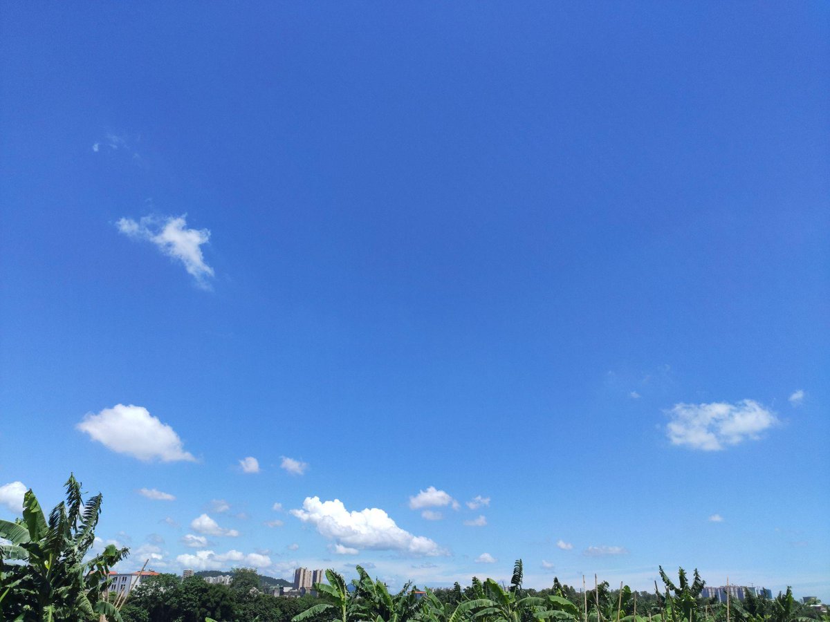 oastMatt Pocock tweet media