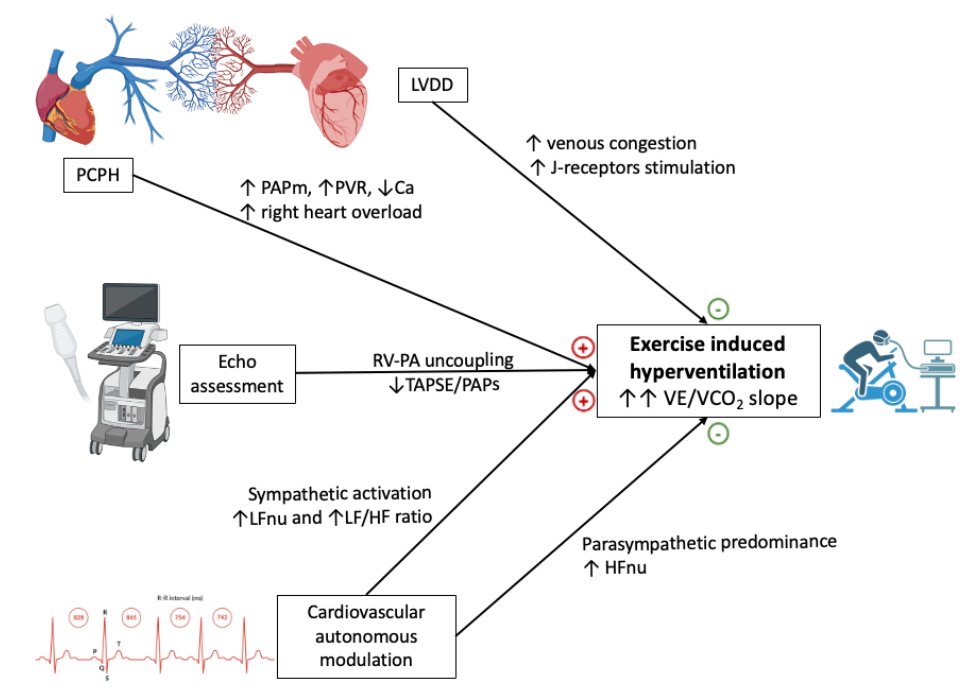 AJP-Regulatory, Integrative Comparative Physiology tweet media