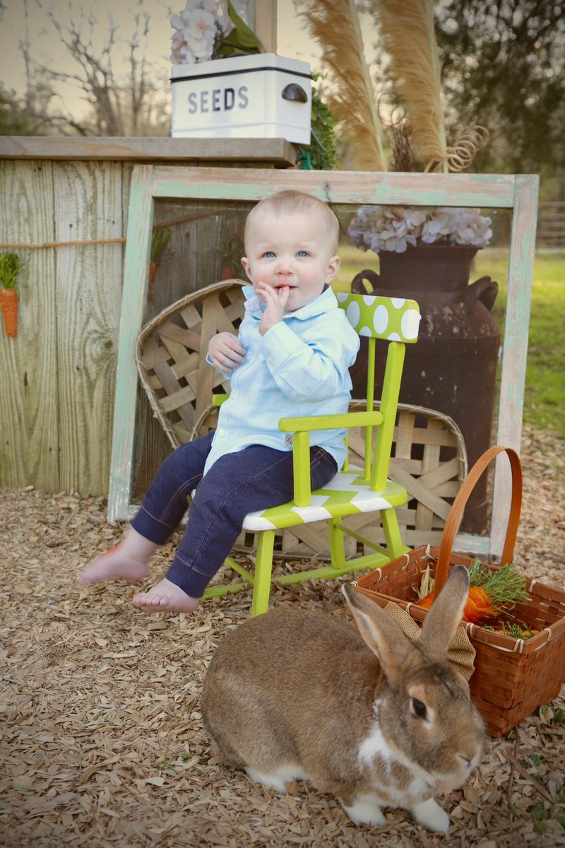 memphissippi901's tweet photo. Happy 4️⃣th Birthday to my little man! You may be the most stubborn and feistiest kid I ever met, but still has the kindest heart (on your own terms😉)! We love you and can’t wait to spend it with you! 🎂🎈🥳 
#happybirthday https://t.co/g7wrfSn7X6