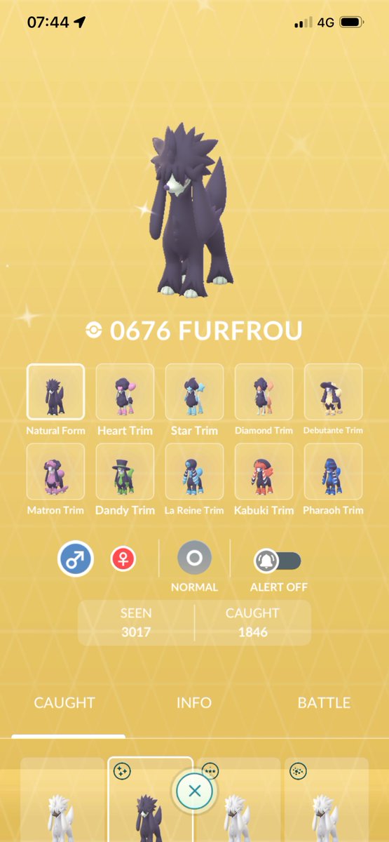 itsAXISx's tweet photo. Got the final shiny furfrou I needed to complete the collection. And the IVs were pretty good too 🔥 thank you @MiffyFanatic 💛✨#WINstinct https://t.co/ORr4M2kfD3
