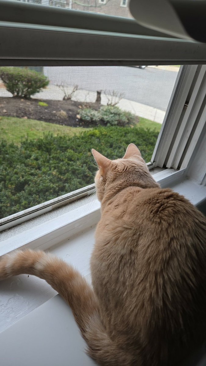 ragnarokaesthetic.bsky.social tweet media