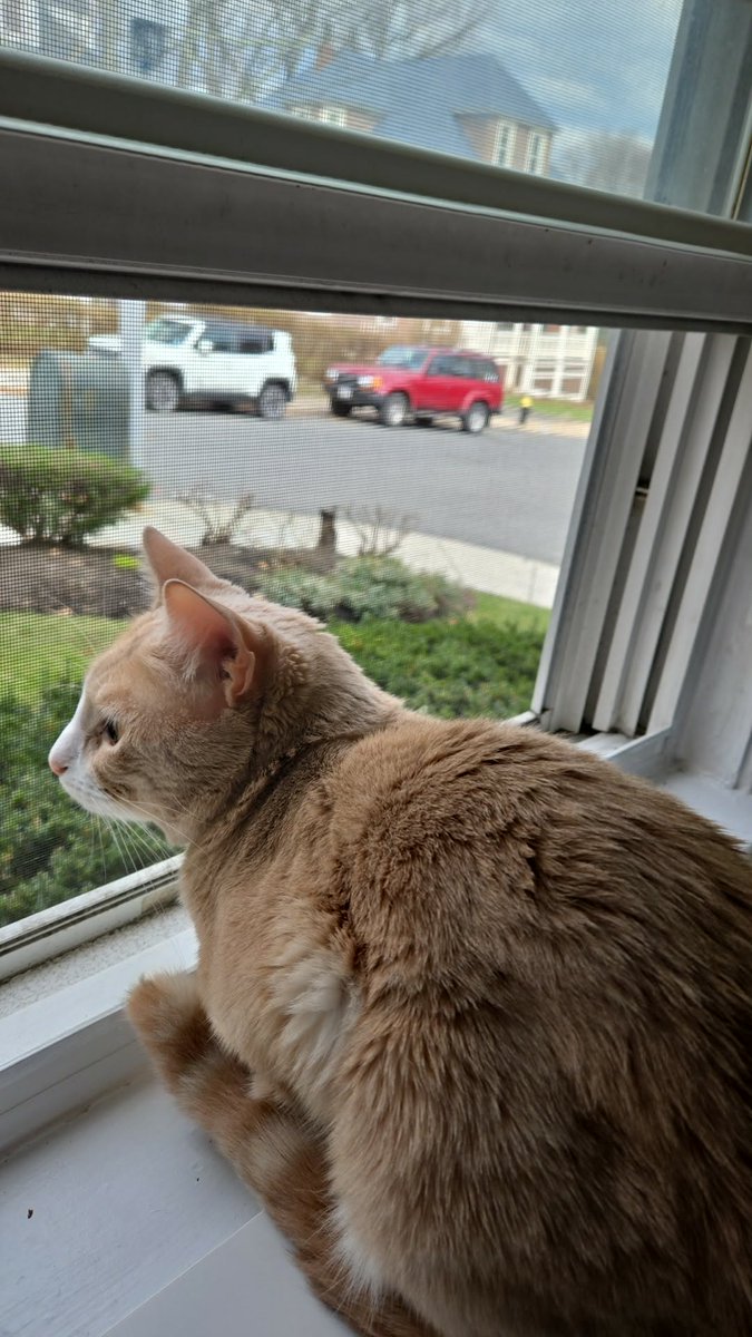 ragnarokaesthetic.bsky.social tweet media