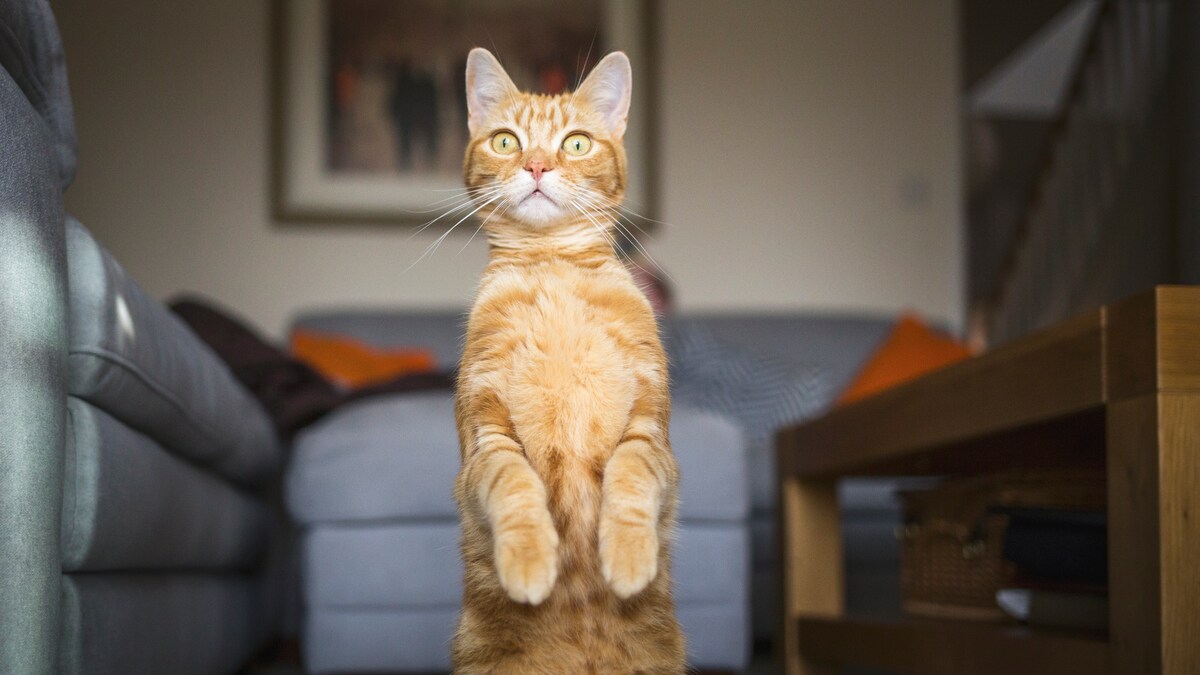 FIT FOR FUN tweet media