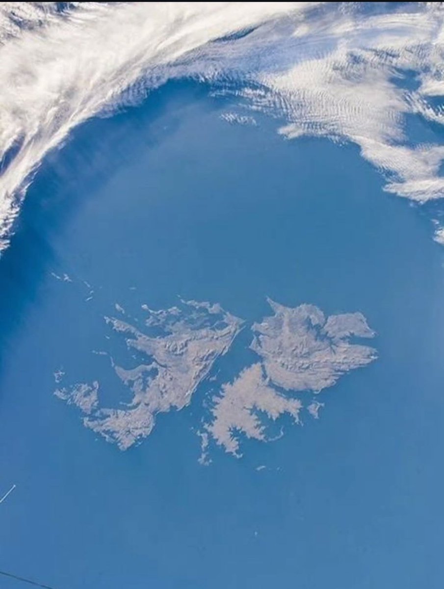 Franco Mogetta tweet media