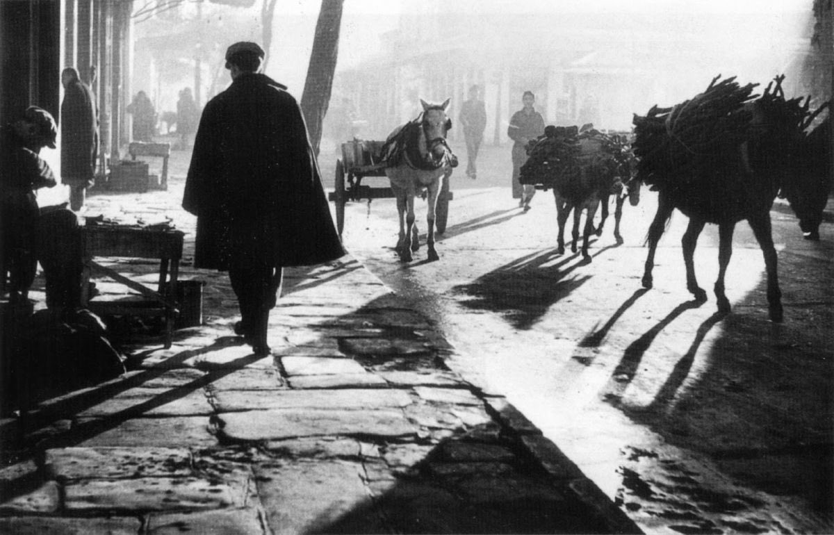 Stefano Bo' tweet media