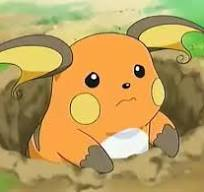 Raichu ライチュウ tweet media