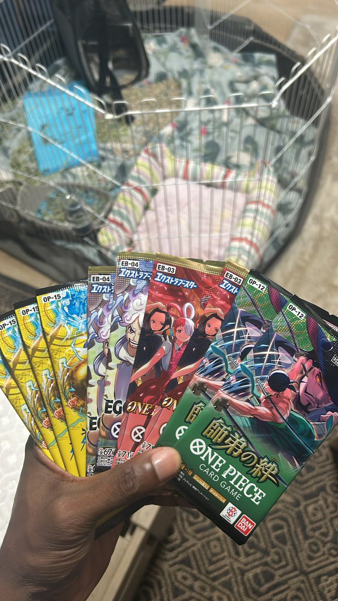 LongLive D. Chef 🏴☠️ tweet media