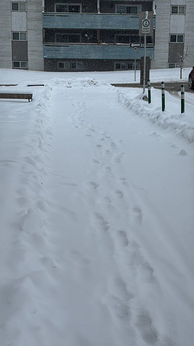 Jayson Harvey tweet media