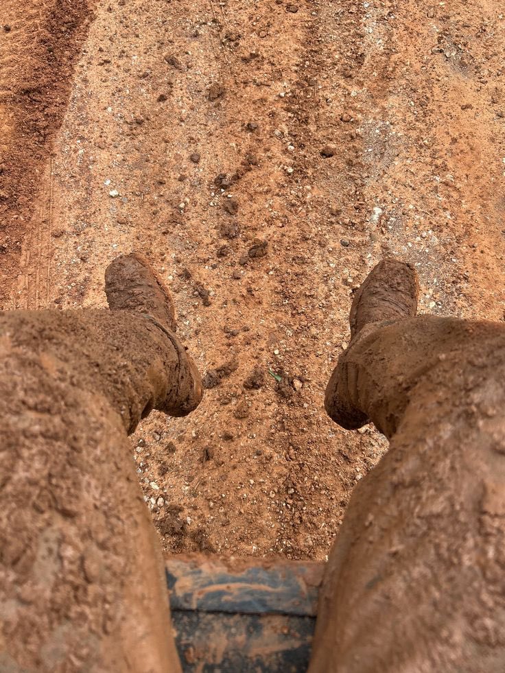 Exitliquidity tweet media