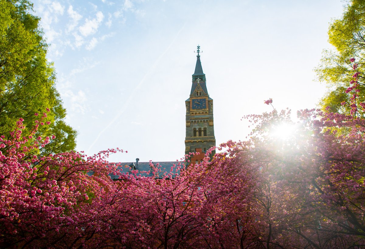 Georgetown Admissions tweet media