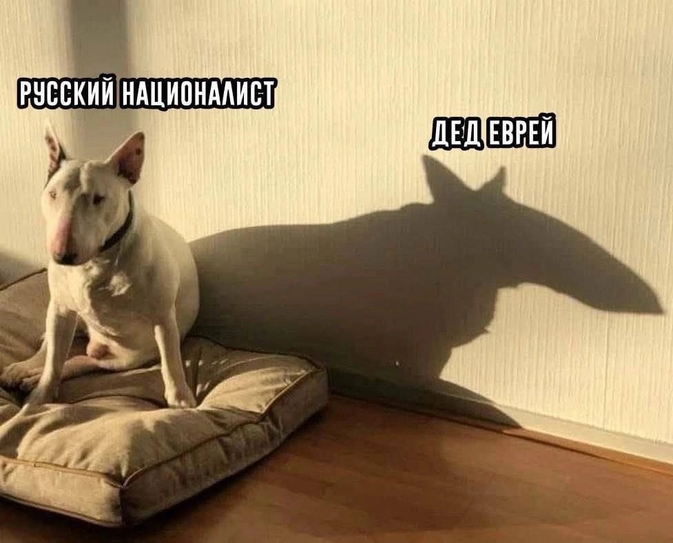 Наєбаний мічман tweet media