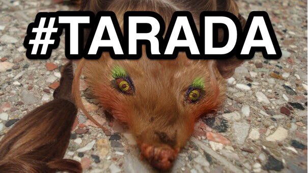 Martha M. Lamartha 🦊 (@marthalamartha) on Twitter photo 
