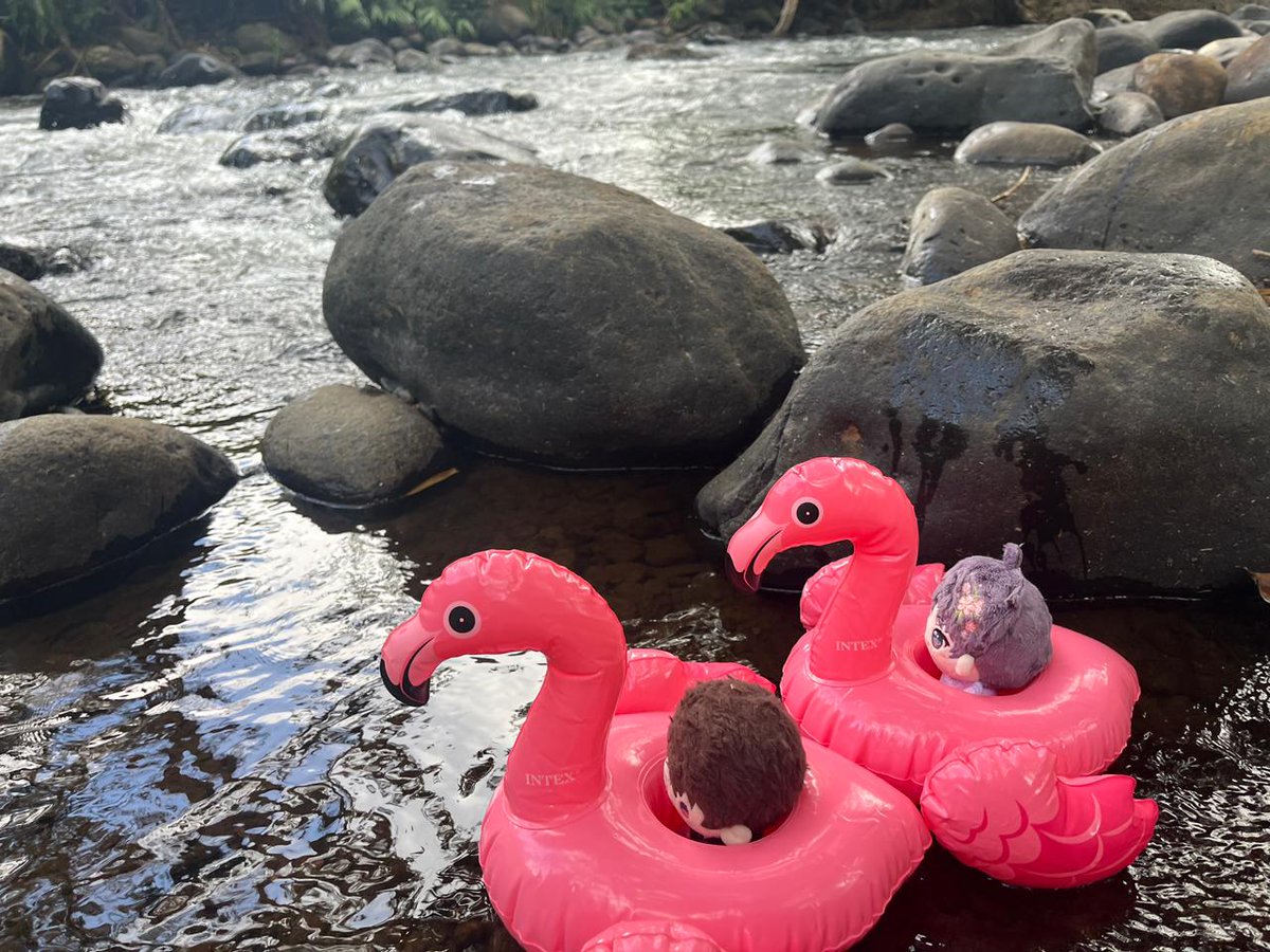 Amia ✧⁠*⁠。 tweet media