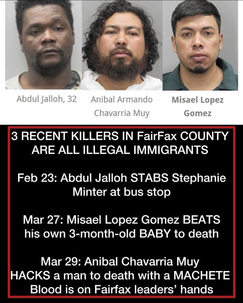 The Original Grey Beard Biker™ (Michael) tweet media