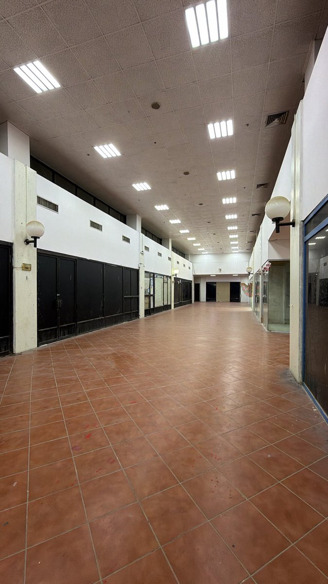 عيسى. tweet media