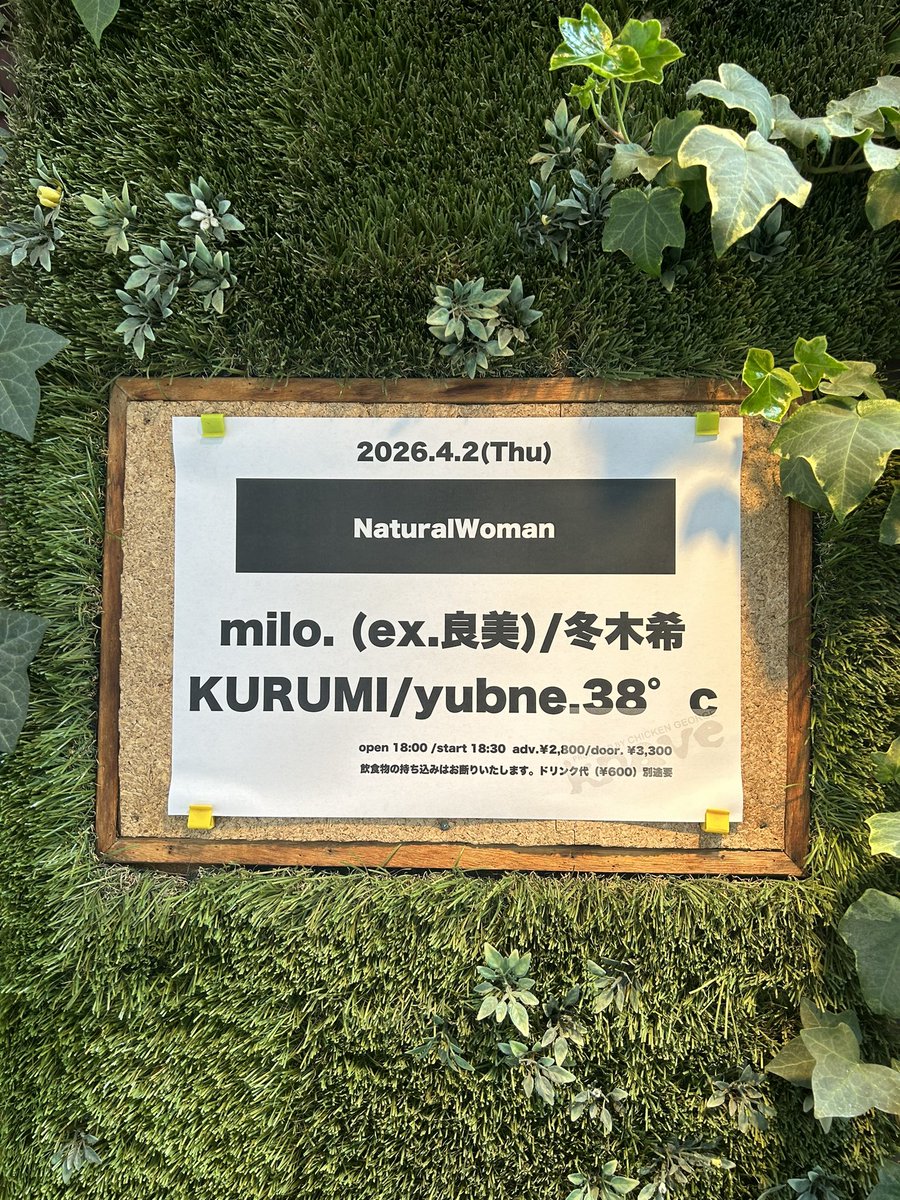 冬木 希 ( のんごん ) tweet media