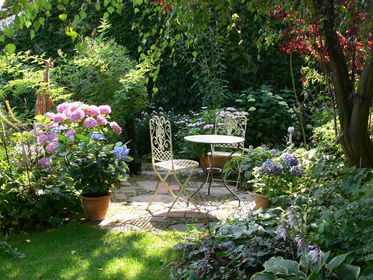 WORLD VIEW tweet media