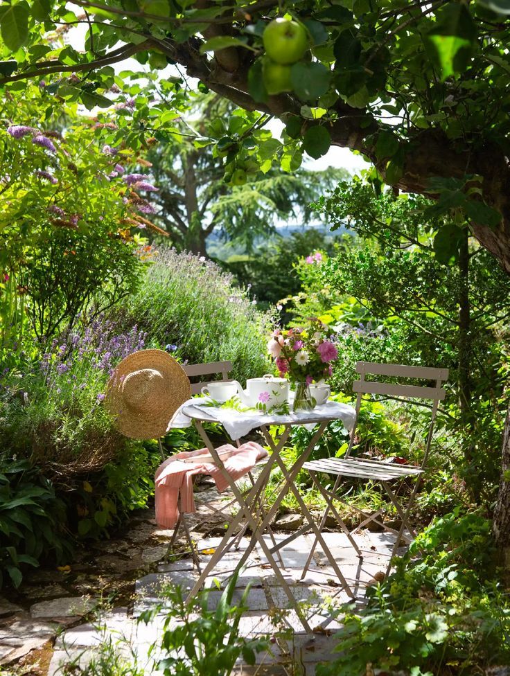 WORLD VIEW tweet media