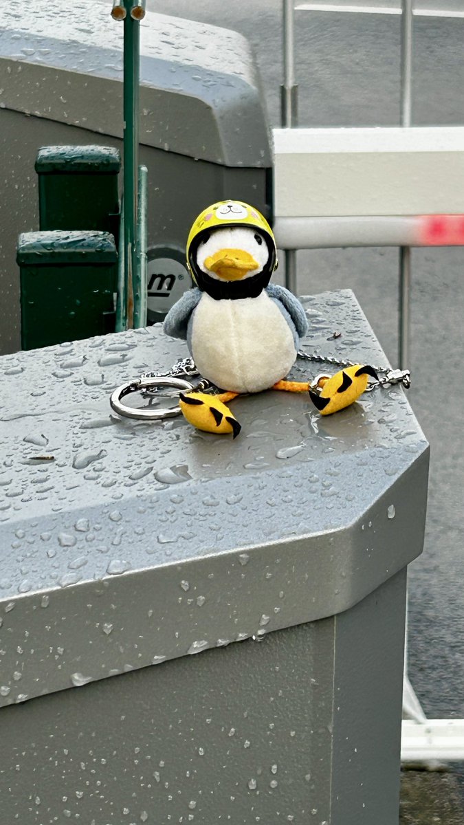 MonaMöwe, die Plüschbande🐪🐑🦀🐑und Gäste tweet media