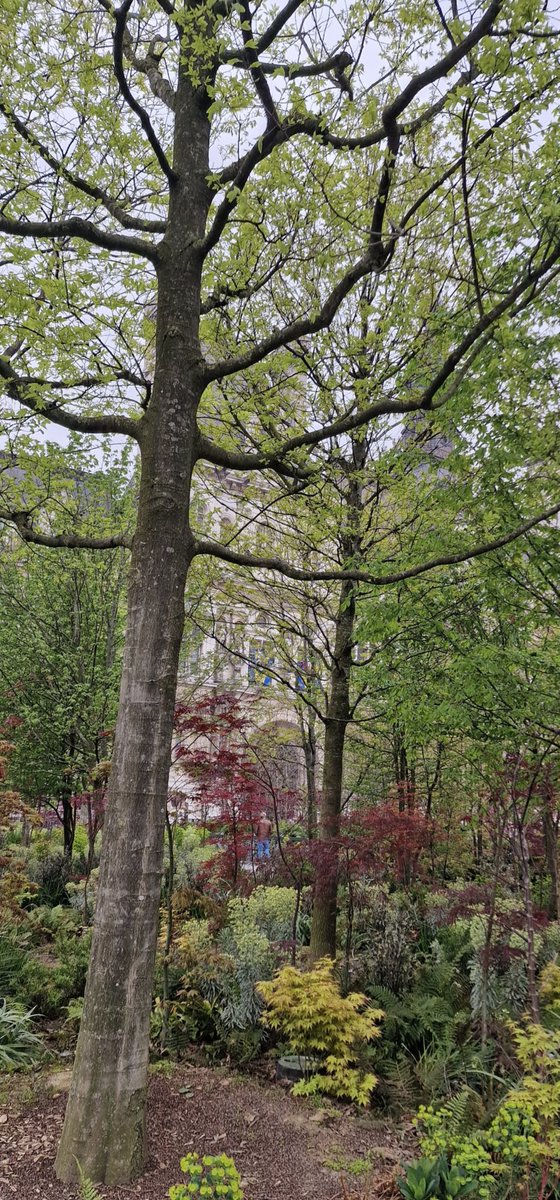 Frédéric Mignard tweet media