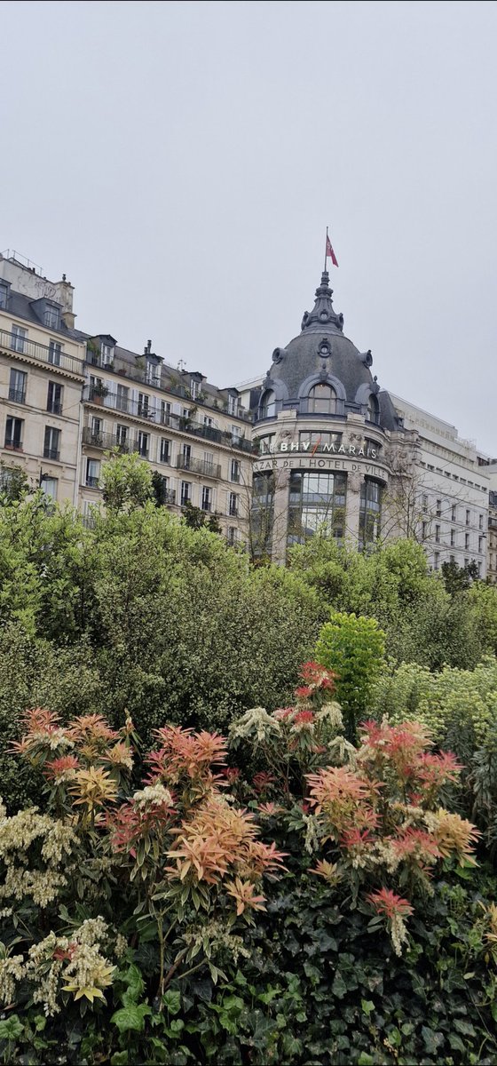 Frédéric Mignard tweet media
