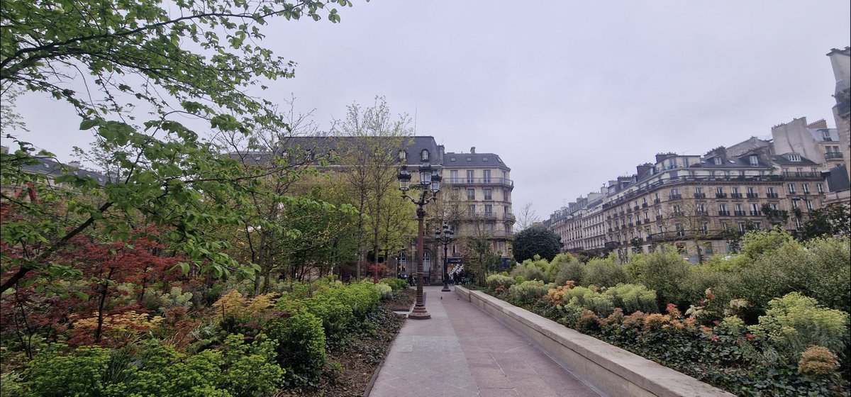 Frédéric Mignard tweet media