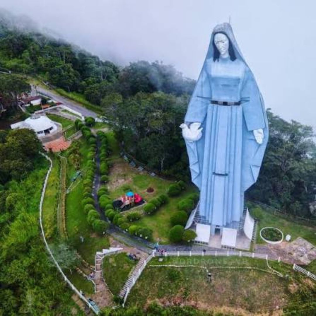 Revista Estampas tweet media