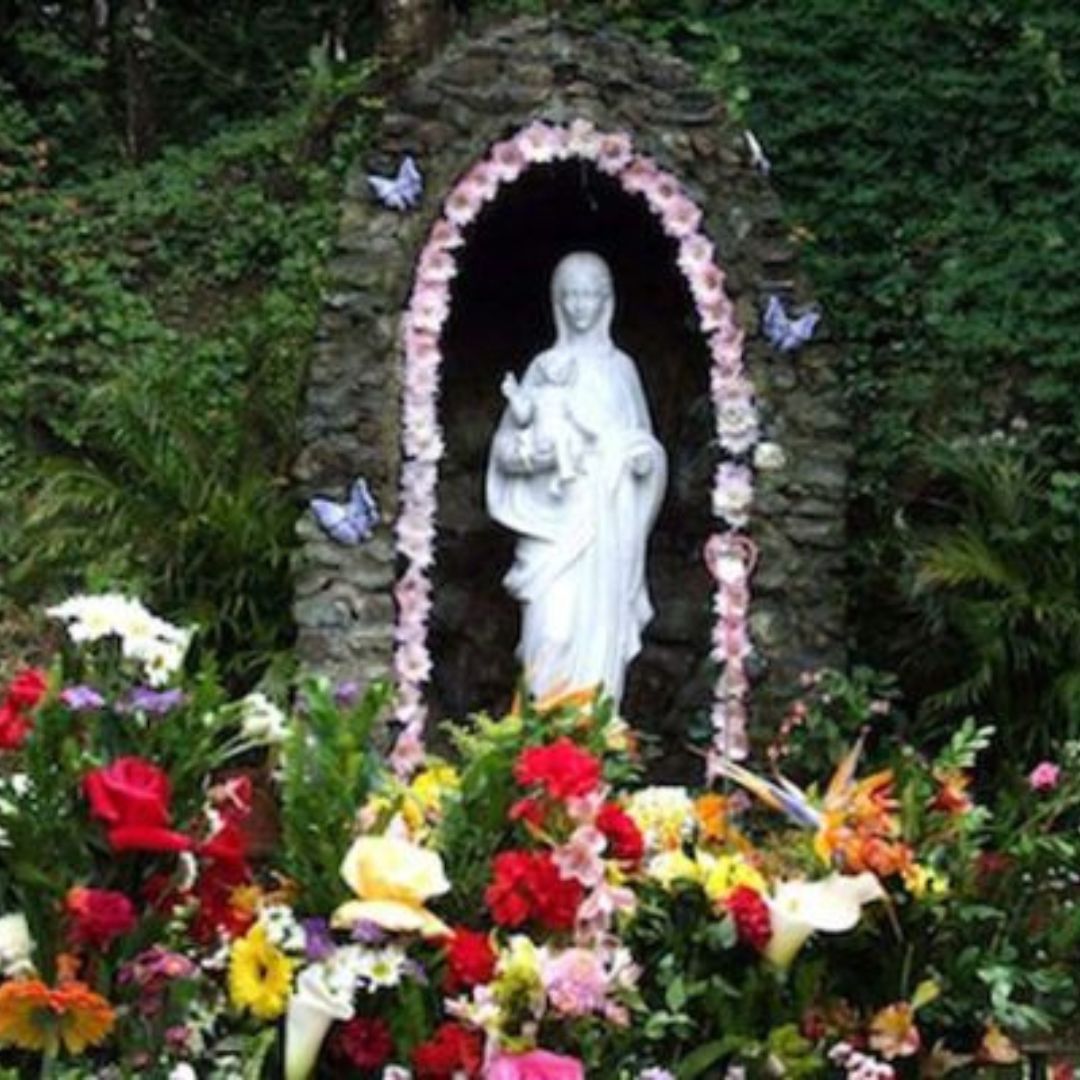 Revista Estampas tweet media