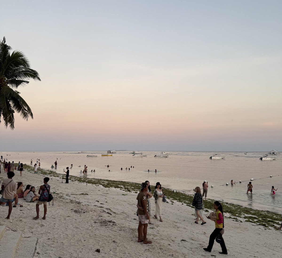 Pardz4U🥸♌️ tweet media