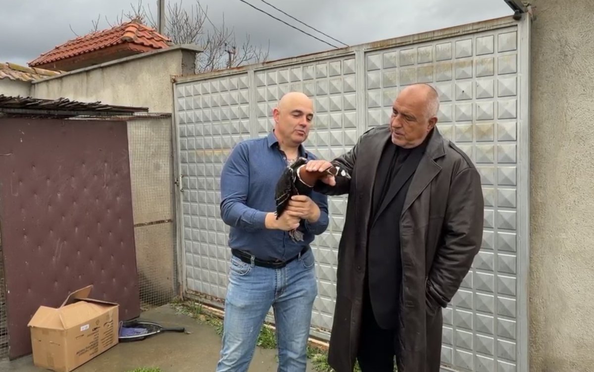 Ум царува,  ум робува, ум патки...